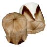 Puff piel de Gacela | Puffs de piel | Sofahogar