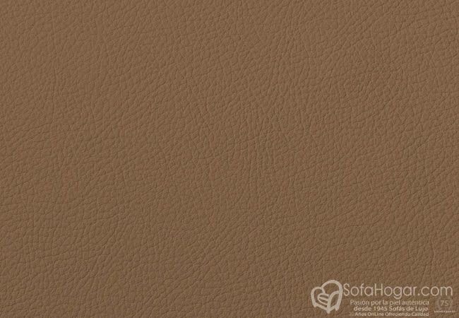 (VRE_41804) CARAMEL_B