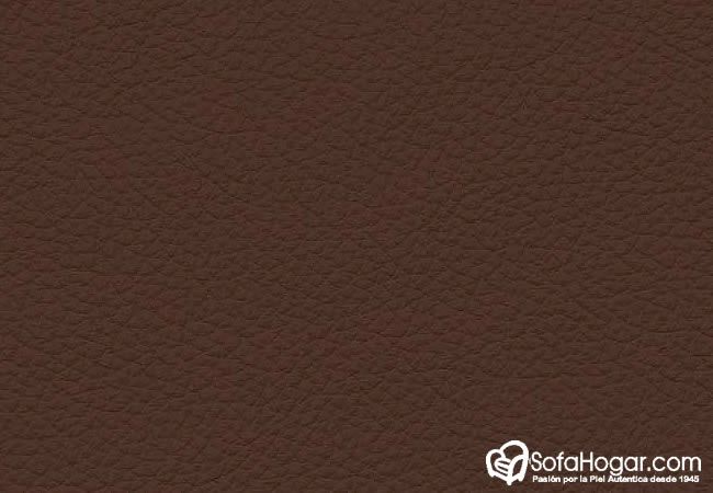 (VRN_31805) CHOCO_A EDIC ESPECIAL